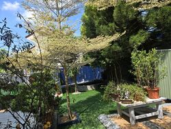 Bartley Villas (D19), Semi-Detached #605983271